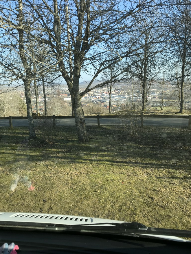 Mosseberg