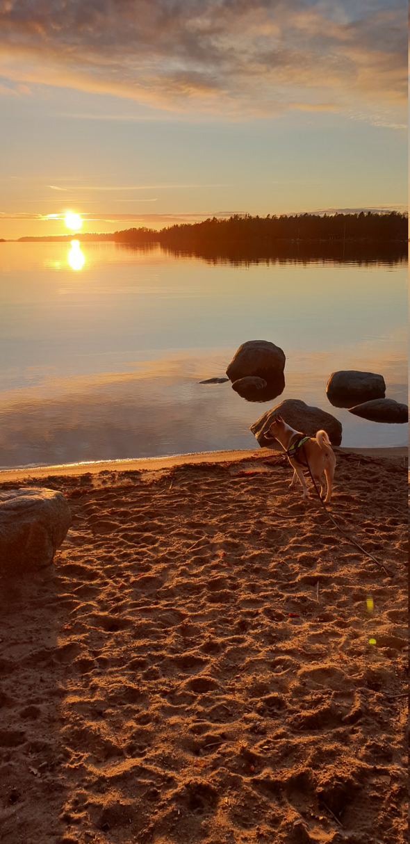 natur_o_djur_1_Large