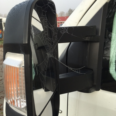 Hr har vi vrt lilla husdjur i backspegeln Hr har vi vrt lilla husdjur i backspegeln