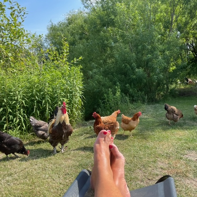 Leverantrerna hos Bananpannkakan Leverantrerna hos Bananpannkakan