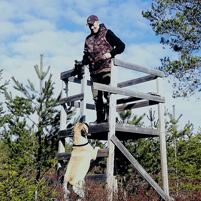Flisan blev ingen jakthund men vi lskar henne nd Flisan blev ingen jakthund men vi lskar henne nd