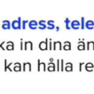 Ordföranden har ordet